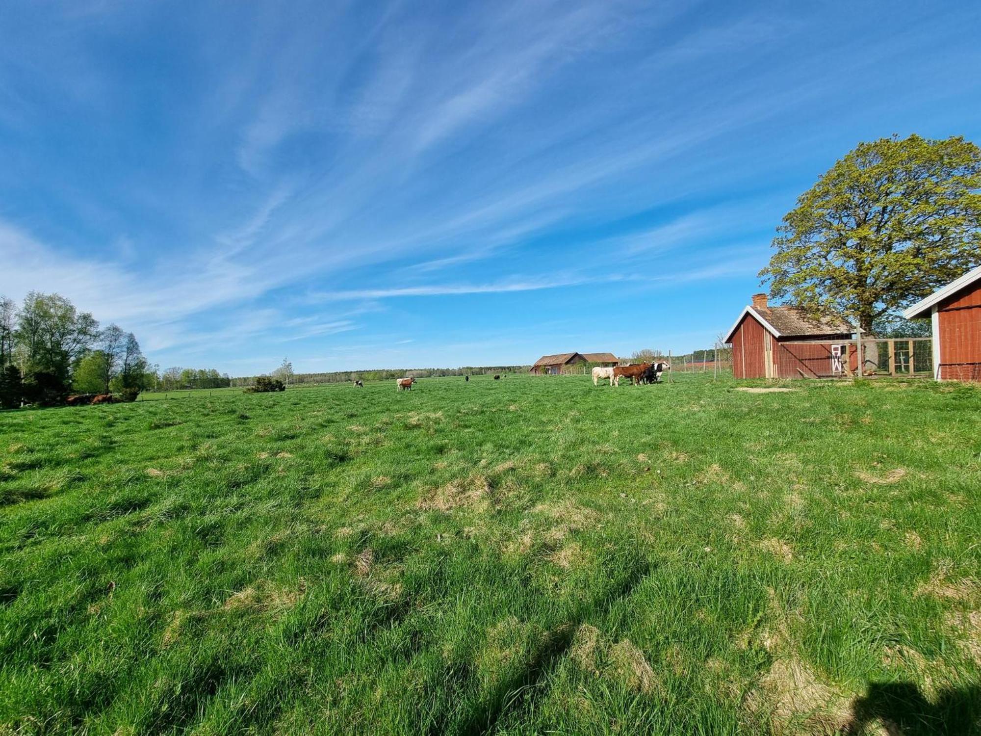 Villa Kaggestorps Gard Hjo Esterno foto